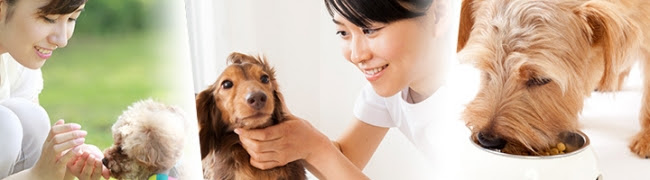 始めるならアツい夏がお得!キャリカレのトク夏キャンペーン