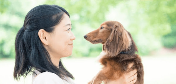 趣味にも最適!2017年8月開講の珍しい&ユニークな資格講座特集