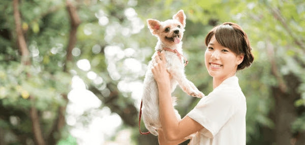 趣味にも最適!2017年8月開講の珍しい&ユニークな資格講座特集